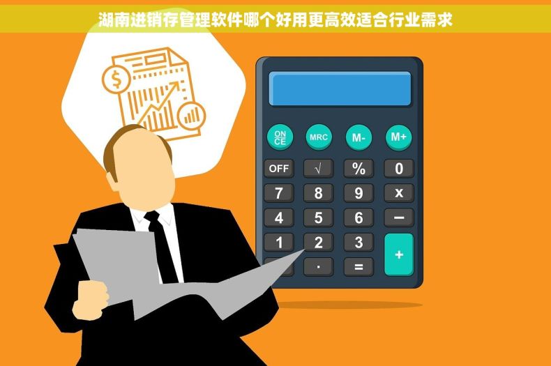 湖南进销存管理软件哪个好用更高效适合行业需求