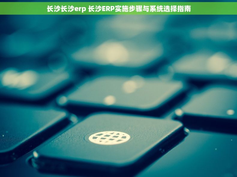 长沙长沙erp 长沙ERP实施步骤与系统选择指南