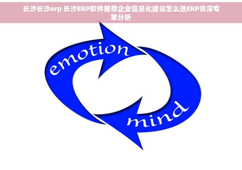 长沙长沙erp 长沙ERP软件推荐企业信息化建设怎么选ERP资深专家分析