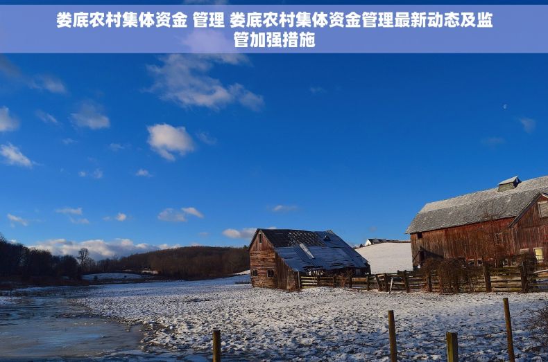 娄底农村集体资金 管理 娄底农村集体资金管理最新动态及监管加强措施