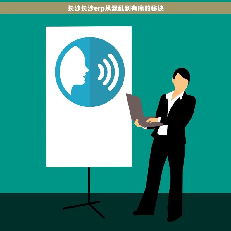 长沙长沙erp从混乱到有序的秘诀