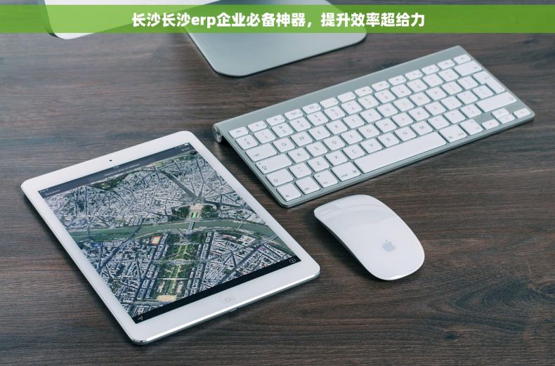 长沙长沙erp企业必备神器，提升效率超给力