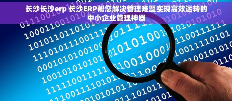 长沙长沙erp 长沙ERP帮您解决管理难题实现高效运转的中小企业管理神器