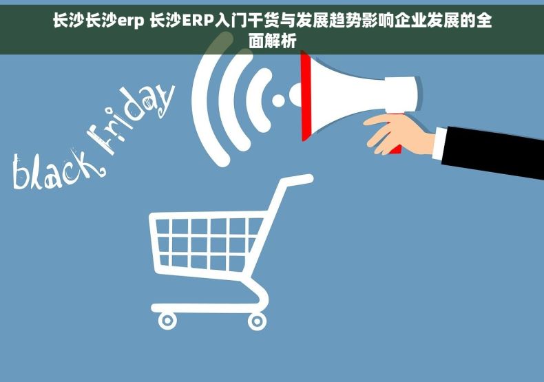 长沙长沙erp 长沙ERP入门干货与发展趋势影响企业发展的全面解析