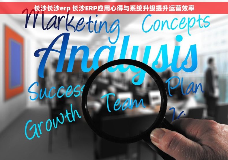 长沙长沙erp 长沙ERP应用心得与系统升级提升运营效率