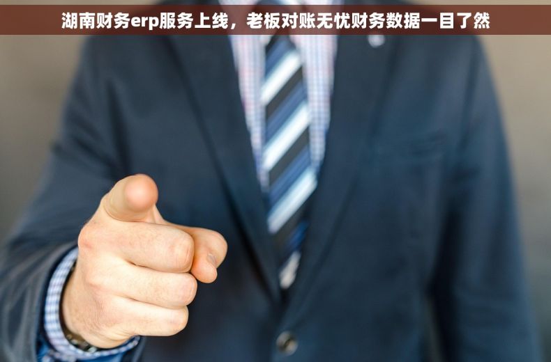 湖南财务erp服务上线，老板对账无忧财务数据一目了然