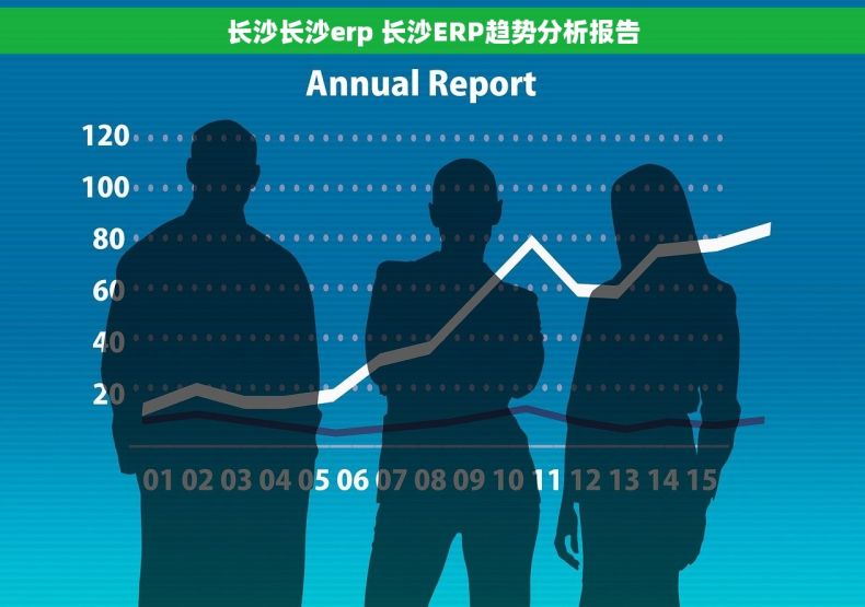 长沙长沙erp 长沙ERP趋势分析报告