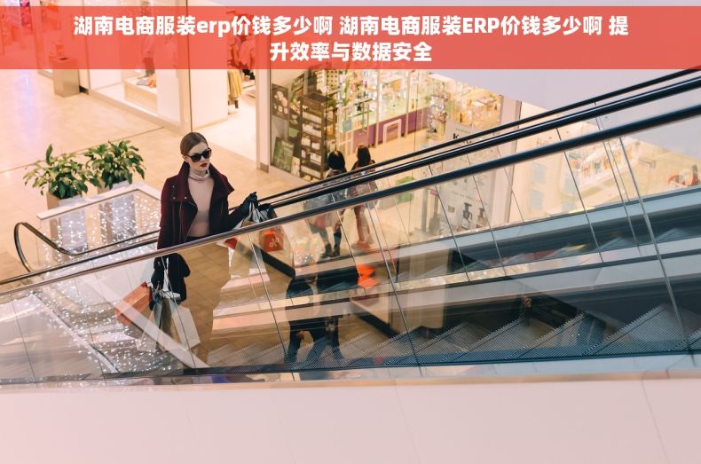 湖南电商服装erp价钱多少啊 湖南电商服装ERP价钱多少啊 提升效率与数据安全