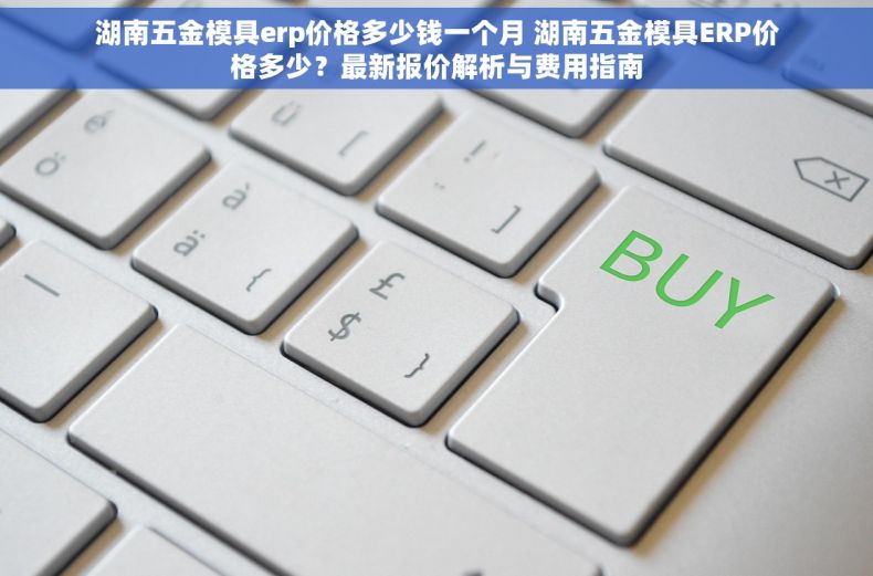 湖南五金模具erp价格多少钱一个月 湖南五金模具ERP价格多少？最新报价解析与费用指南
