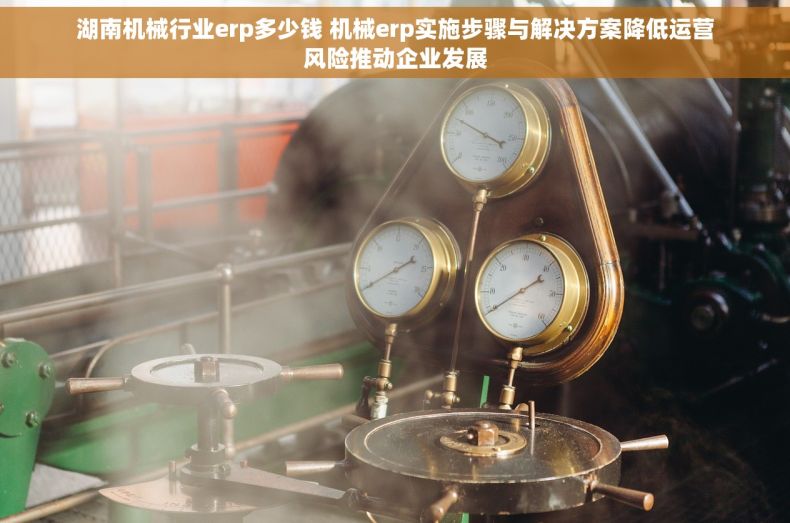湖南机械行业erp多少钱 机械erp实施步骤与解决方案降低运营风险推动企业发展