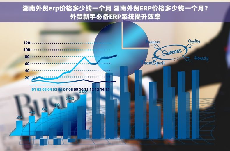 湖南外贸erp价格多少钱一个月 湖南外贸ERP价格多少钱一个月？外贸新手必备ERP系统提升效率