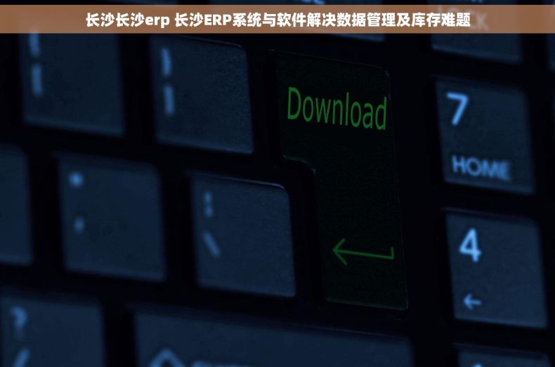 长沙长沙erp 长沙ERP系统与软件解决数据管理及库存难题