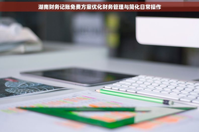 湖南财务记账免费方案优化财务管理与简化日常操作