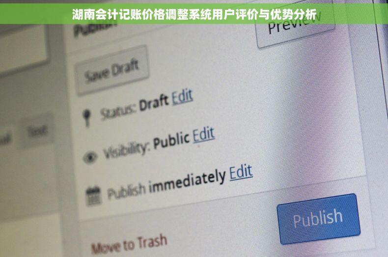 湖南会计记账价格调整系统用户评价与优势分析