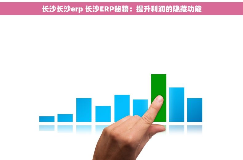 长沙长沙erp 长沙ERP秘籍：提升利润的隐藏功能