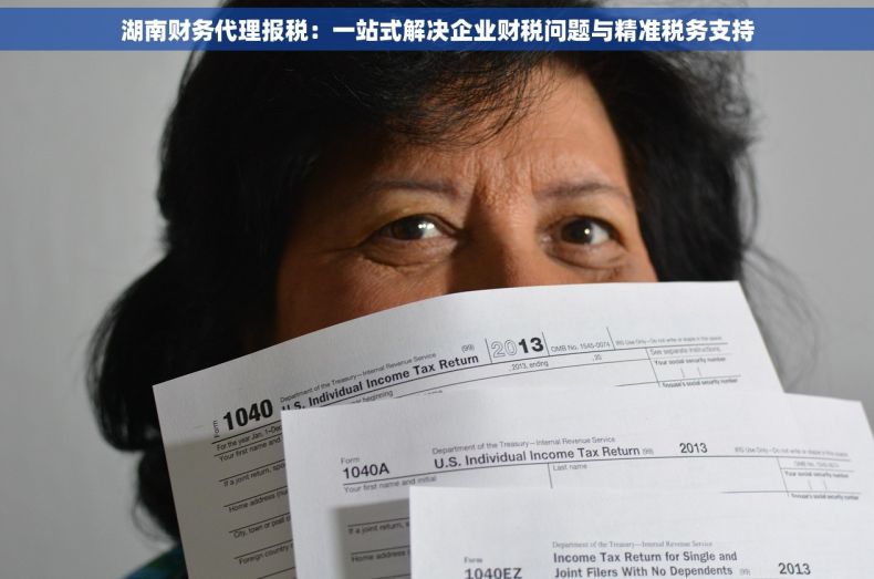 湖南财务代理报税：一站式解决企业财税问题与精准税务支持