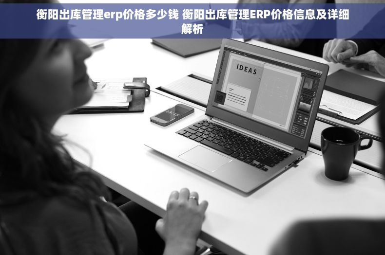 衡阳出库管理erp价格多少钱 衡阳出库管理ERP价格信息及详细解析