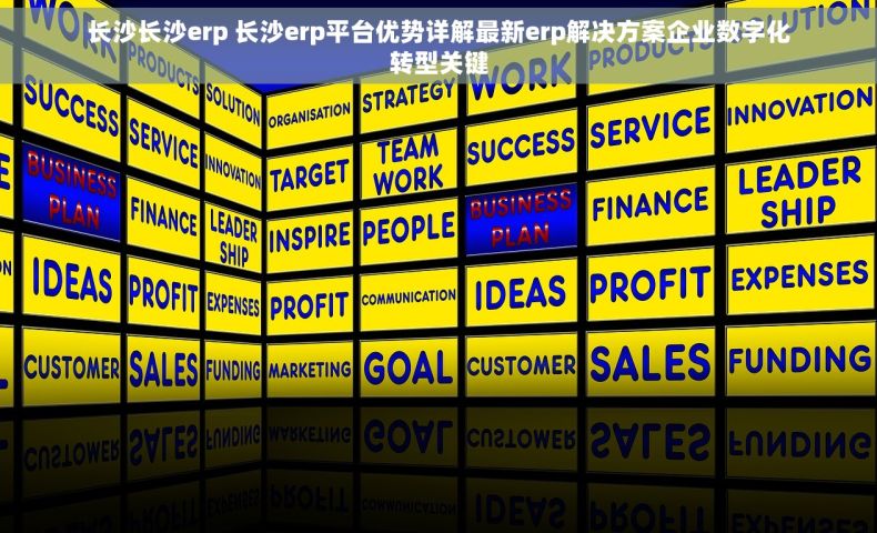 长沙长沙erp 长沙erp平台优势详解最新erp解决方案企业数字化转型关键