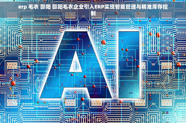 erp 毛衣 邵阳 邵阳毛衣企业引入ERP实现智能管理与精准库存控制