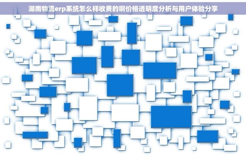 湖南物流erp系统怎么样收费的啊价格透明度分析与用户体验分享