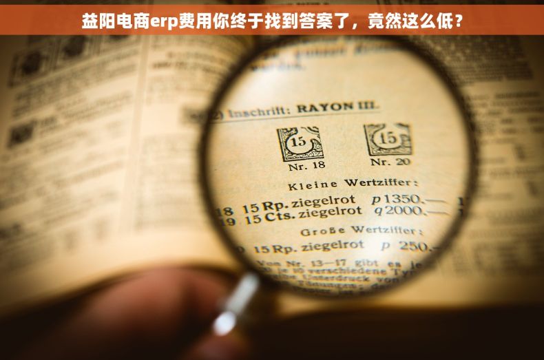 益阳电商erp费用你终于找到答案了，竟然这么低？