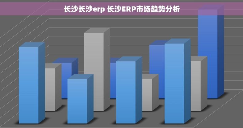 长沙长沙erp 长沙ERP市场趋势分析