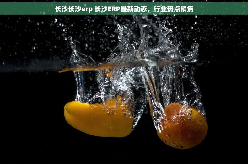 长沙长沙erp 长沙ERP最新动态，行业热点聚焦