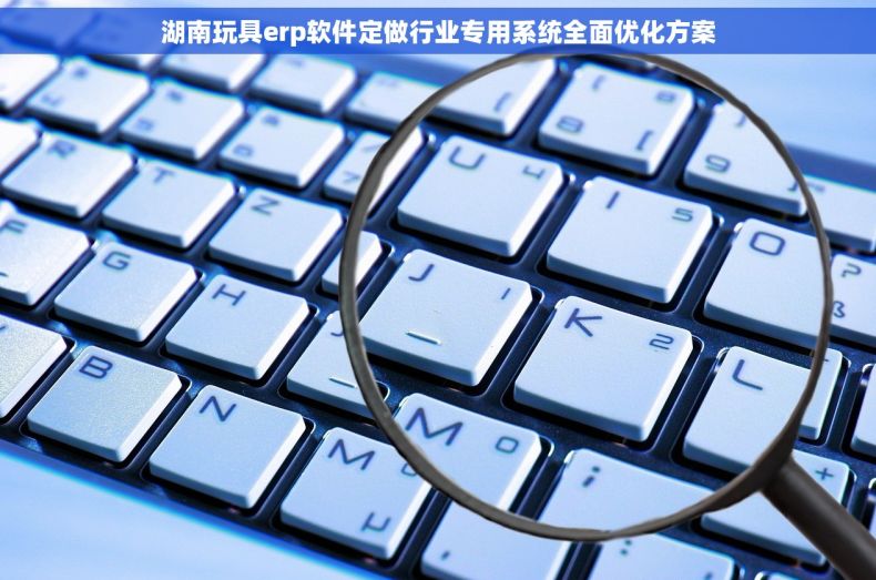 湖南玩具erp软件定做行业专用系统全面优化方案