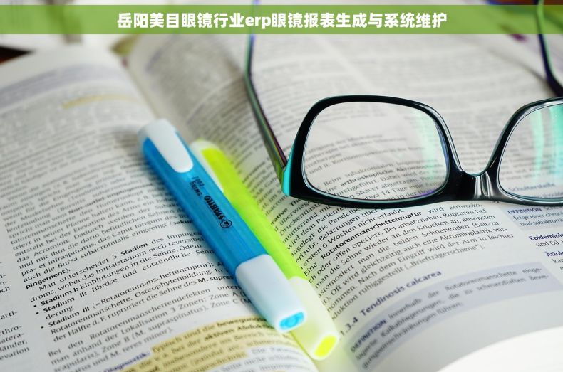 岳阳美目眼镜行业erp眼镜报表生成与系统维护