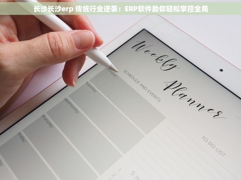 长沙长沙erp 传统行业逆袭：ERP软件助你轻松掌控全局