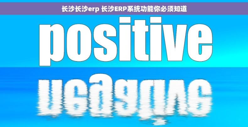 长沙长沙erp 长沙ERP系统功能你必须知道