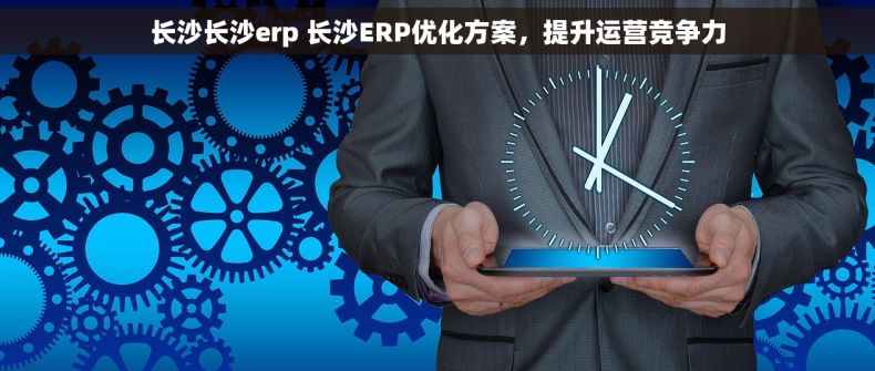 长沙长沙erp 长沙ERP优化方案，提升运营竞争力