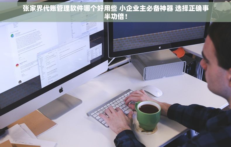 张家界代账管理软件哪个好用些 小企业主必备神器 选择正确事半功倍！