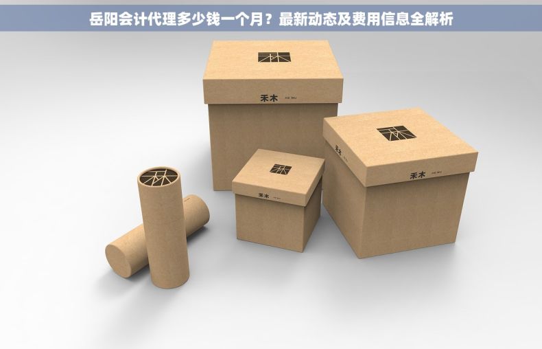 岳阳会计代理多少钱一个月？最新动态及费用信息全解析