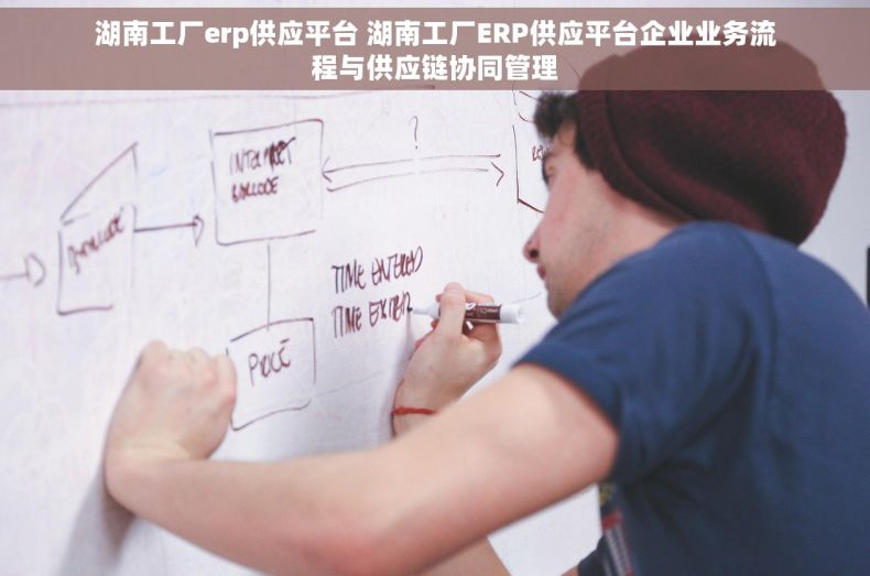 湖南工厂erp供应平台 湖南工厂ERP供应平台企业业务流程与供应链协同管理