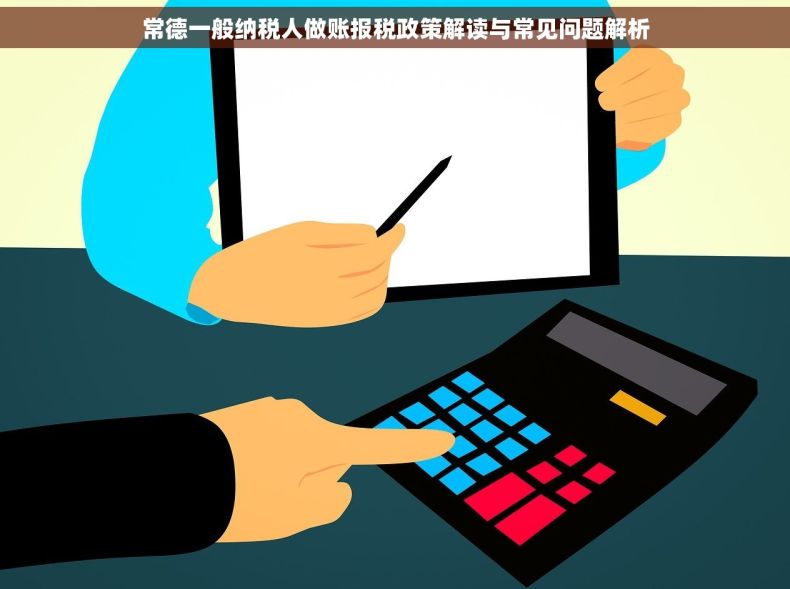 常德一般纳税人做账报税政策解读与常见问题解析