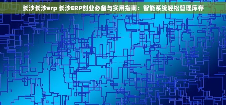 长沙长沙erp 长沙ERP创业必备与实用指南：智能系统轻松管理库存