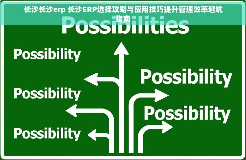 长沙长沙erp 长沙ERP选择攻略与应用技巧提升管理效率避坑指南