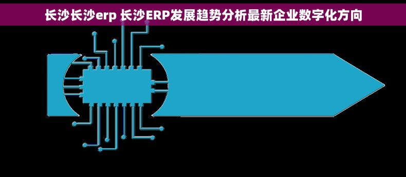 长沙长沙erp 长沙ERP发展趋势分析最新企业数字化方向