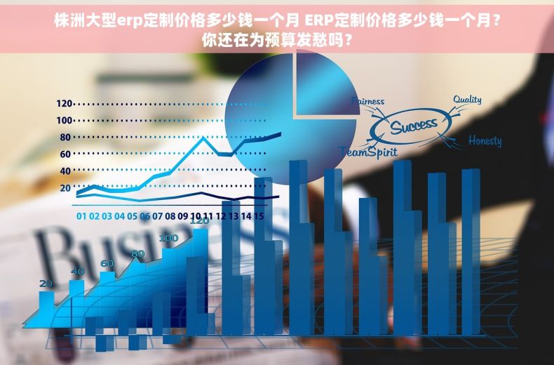 株洲大型erp定制价格多少钱一个月 ERP定制价格多少钱一个月？你还在为预算发愁吗？