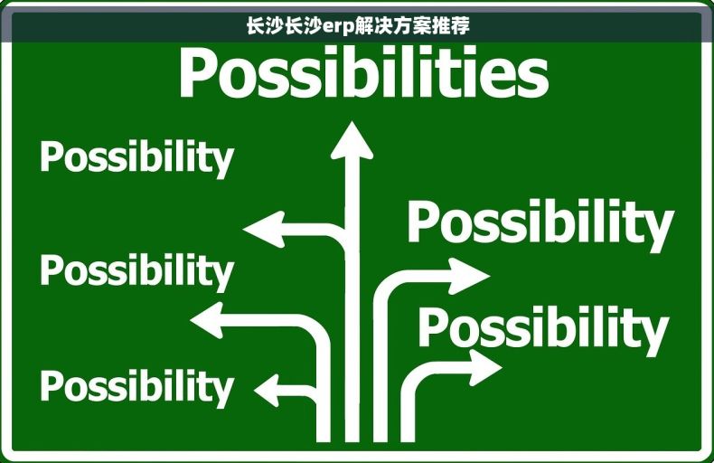 长沙长沙erp解决方案推荐