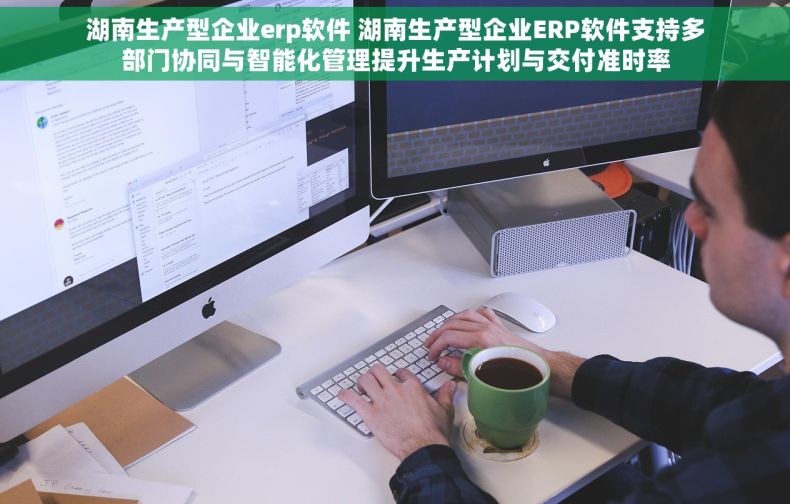 湖南生产型企业erp软件 湖南生产型企业ERP软件支持多部门协同与智能化管理提升生产计划与交付准时率
