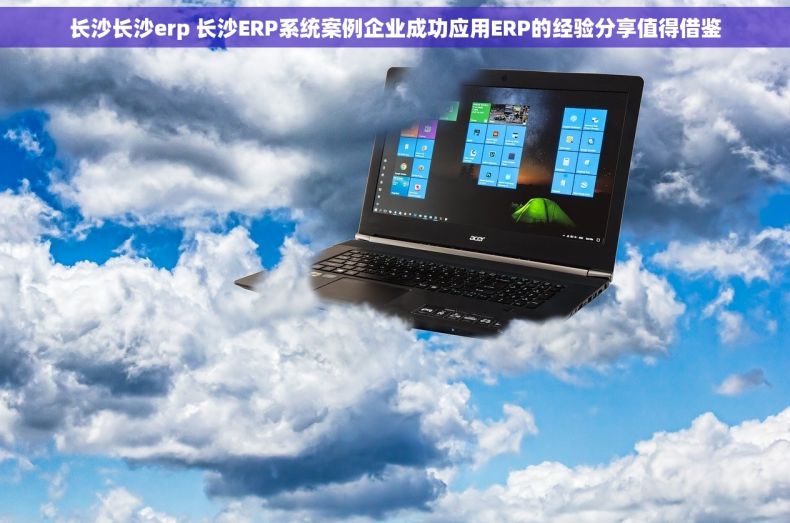 长沙长沙erp 长沙ERP系统案例企业成功应用ERP的经验分享值得借鉴