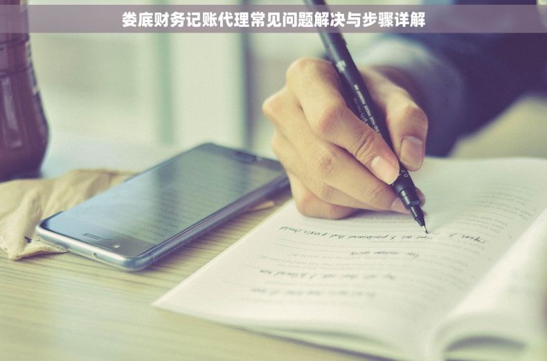 娄底财务记账代理常见问题解决与步骤详解