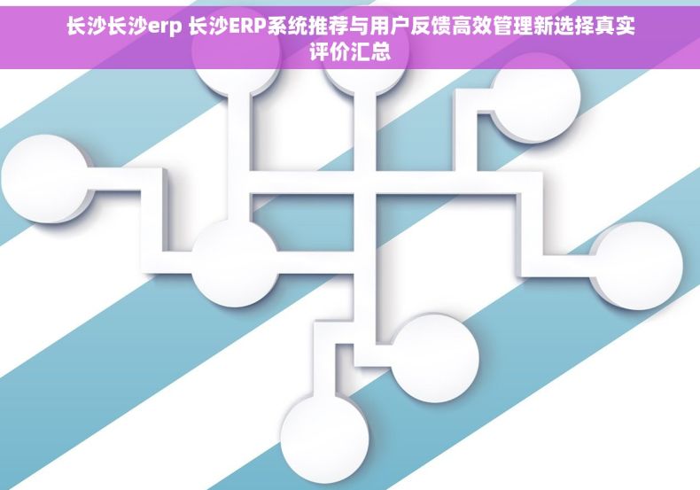 长沙长沙erp 长沙ERP系统推荐与用户反馈高效管理新选择真实评价汇总