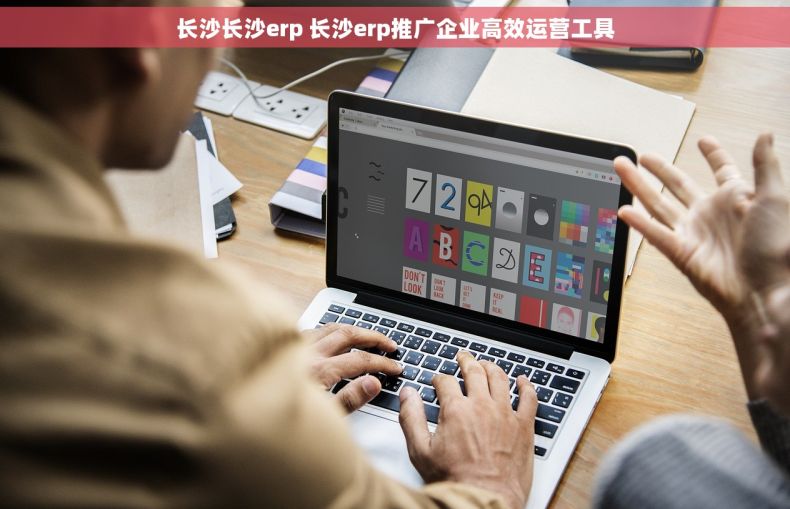 长沙长沙erp 长沙erp推广企业高效运营工具