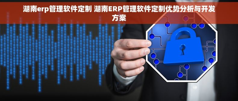 湖南erp管理软件定制 湖南ERP管理软件定制优势分析与开发方案