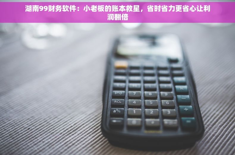 湖南99财务软件：小老板的账本救星，省时省力更省心让利润翻倍