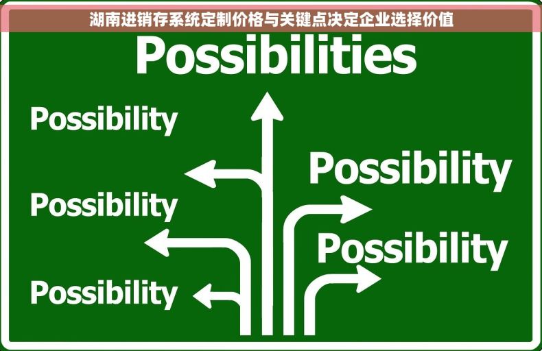 湖南进销存系统定制价格与关键点决定企业选择价值