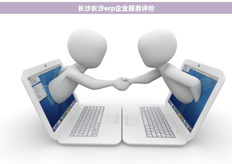 长沙长沙erp企业服务评价